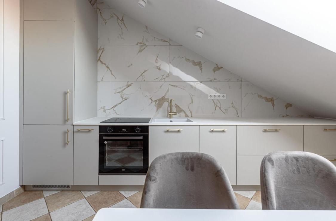 Traku Street Apartment In Вильнюс Экстерьер фото