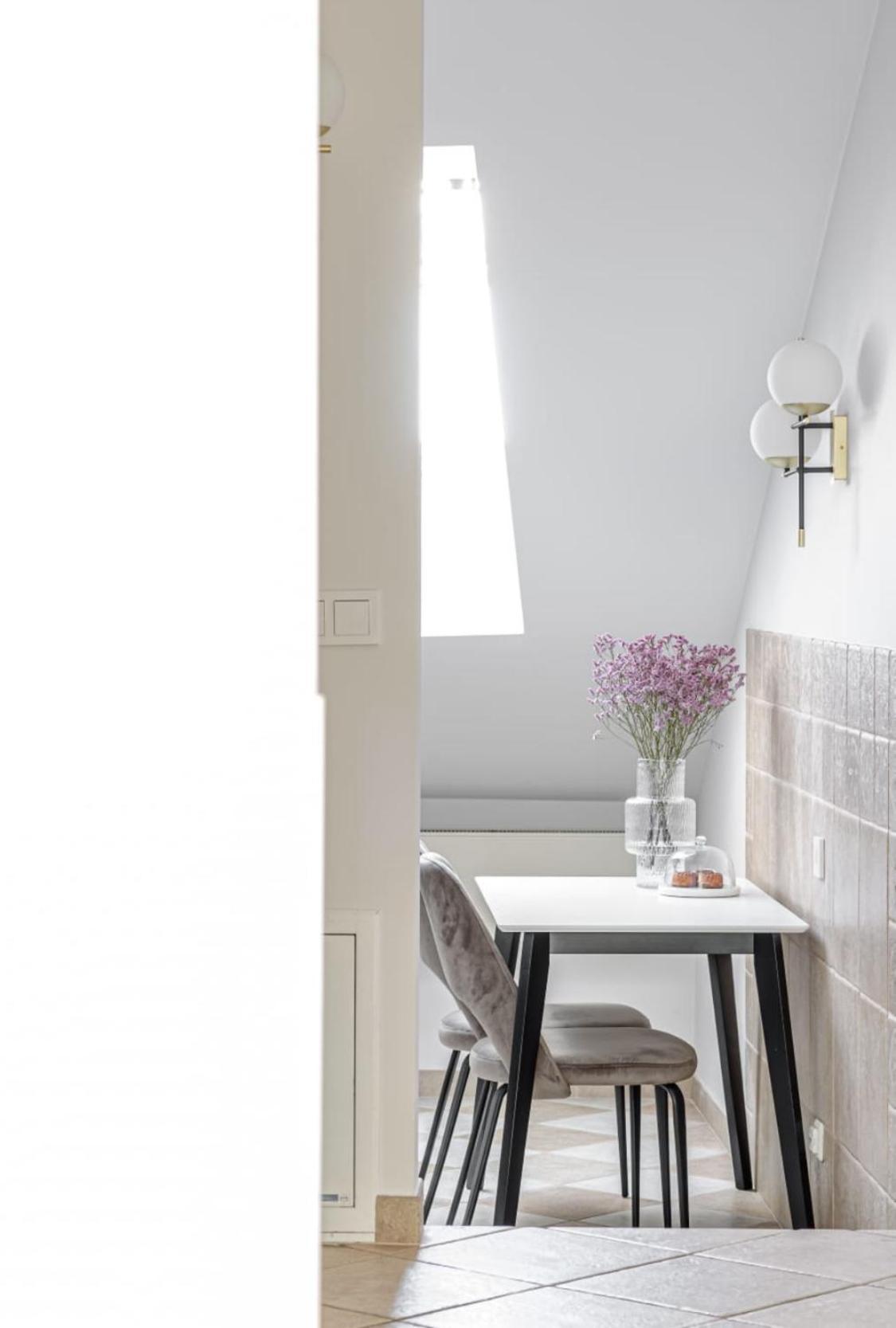 Traku Street Apartment In Вильнюс Экстерьер фото
